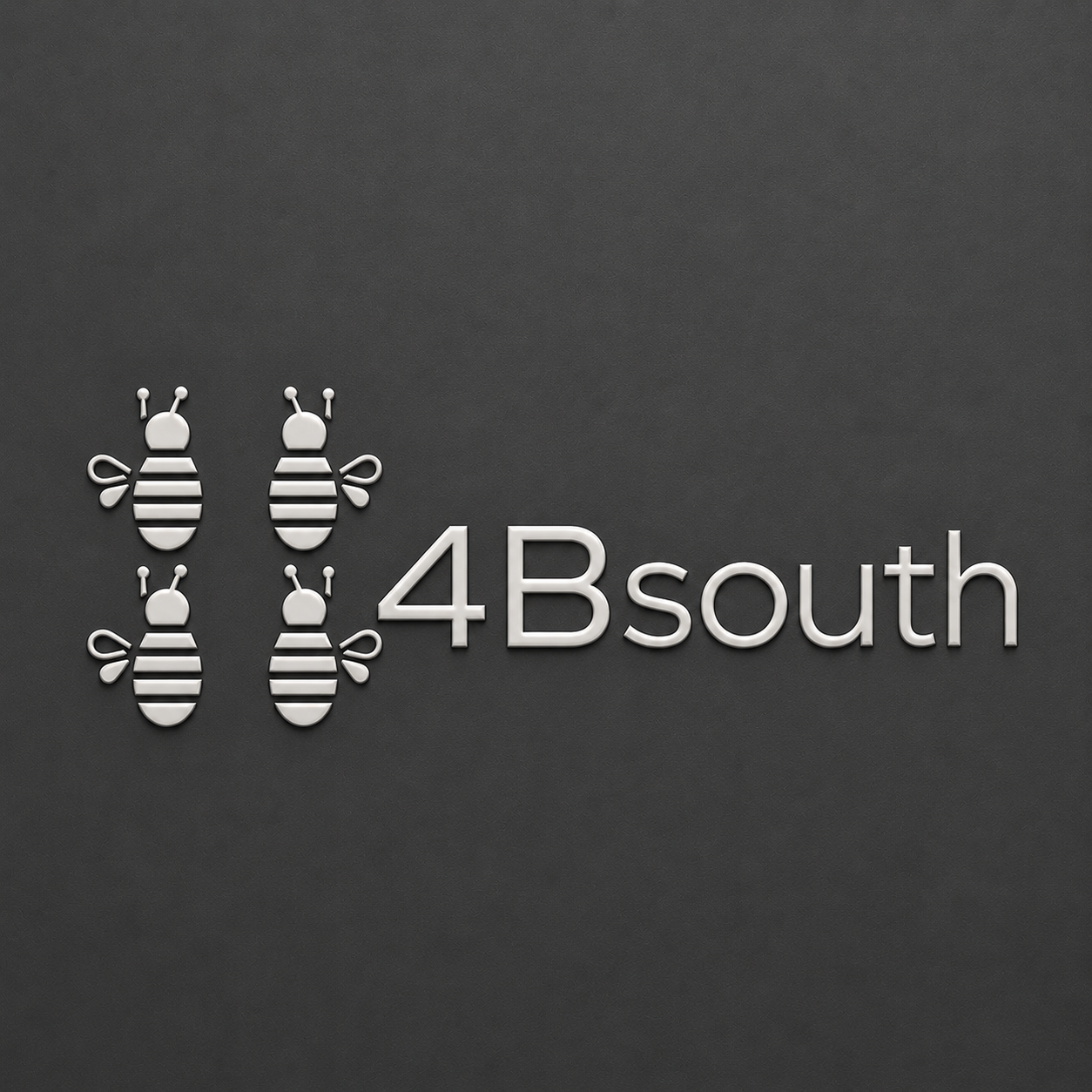 4Bsouth logo